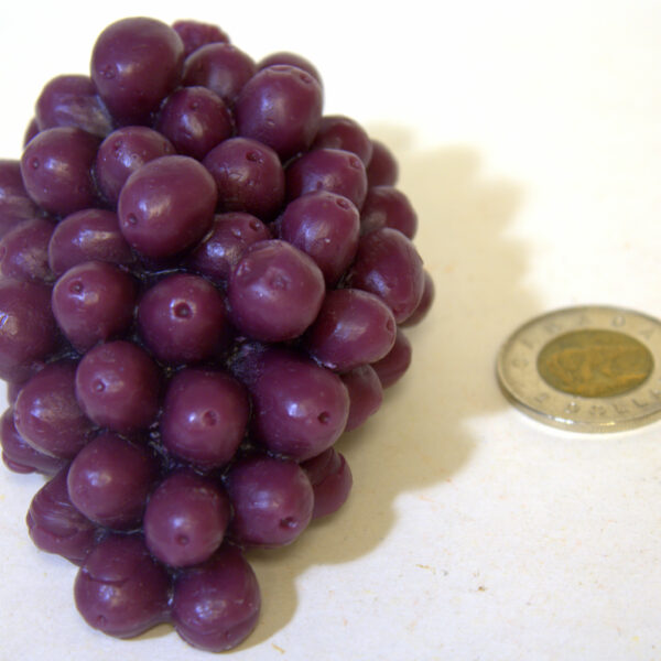 Grape