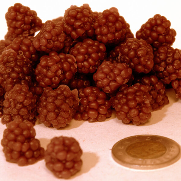 Raspberry