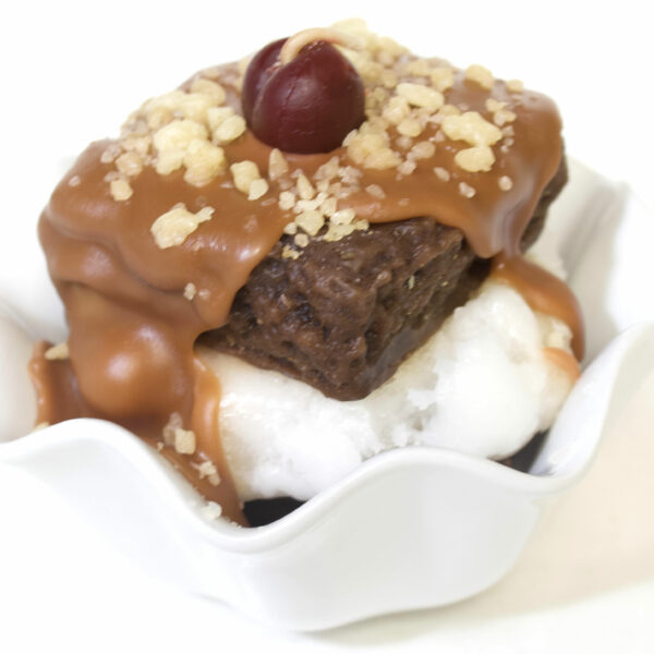 Double Brownie Delight